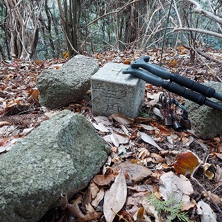 �_���u�V���v