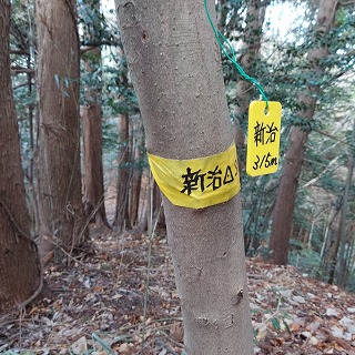 �_���u�V���v