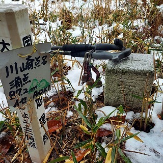 �_���u���v