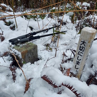 �_���u�ݓc�v