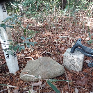 �_���u�핽���v