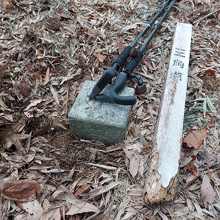 �_������c�v