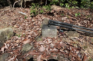 �_���u�����v