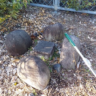 �_���c�u�k��F�v